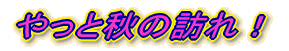 やっと秋の訪れ！